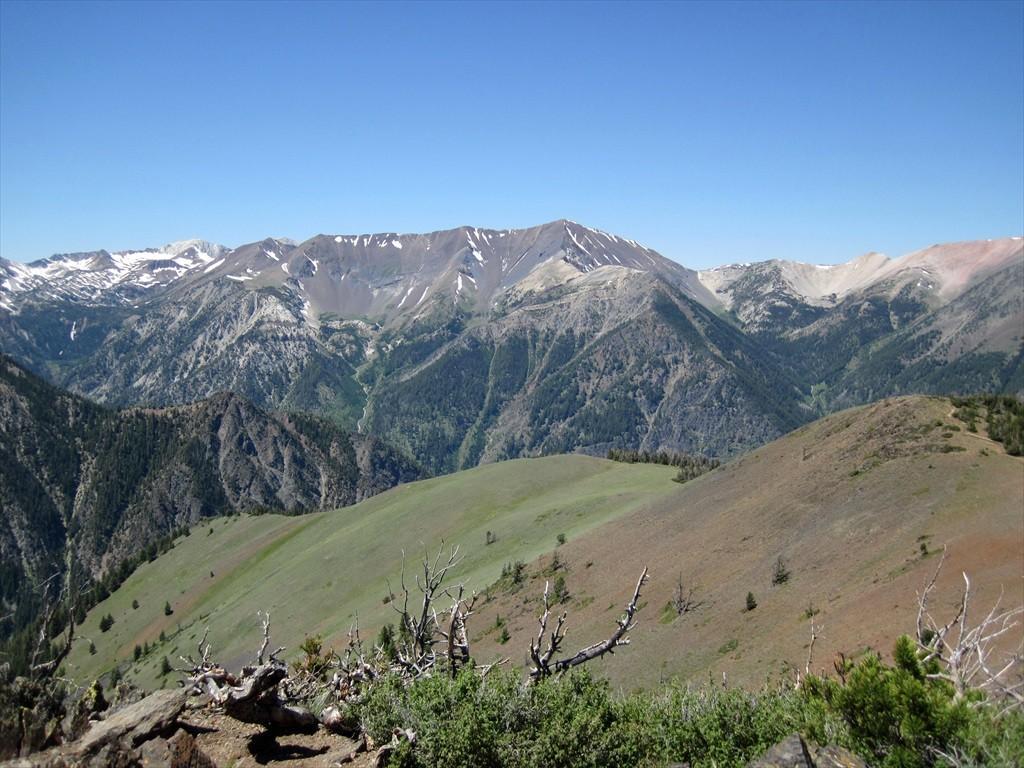 IMG_6428.jpg