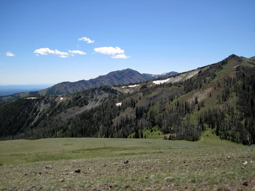 IMG_6434.jpg