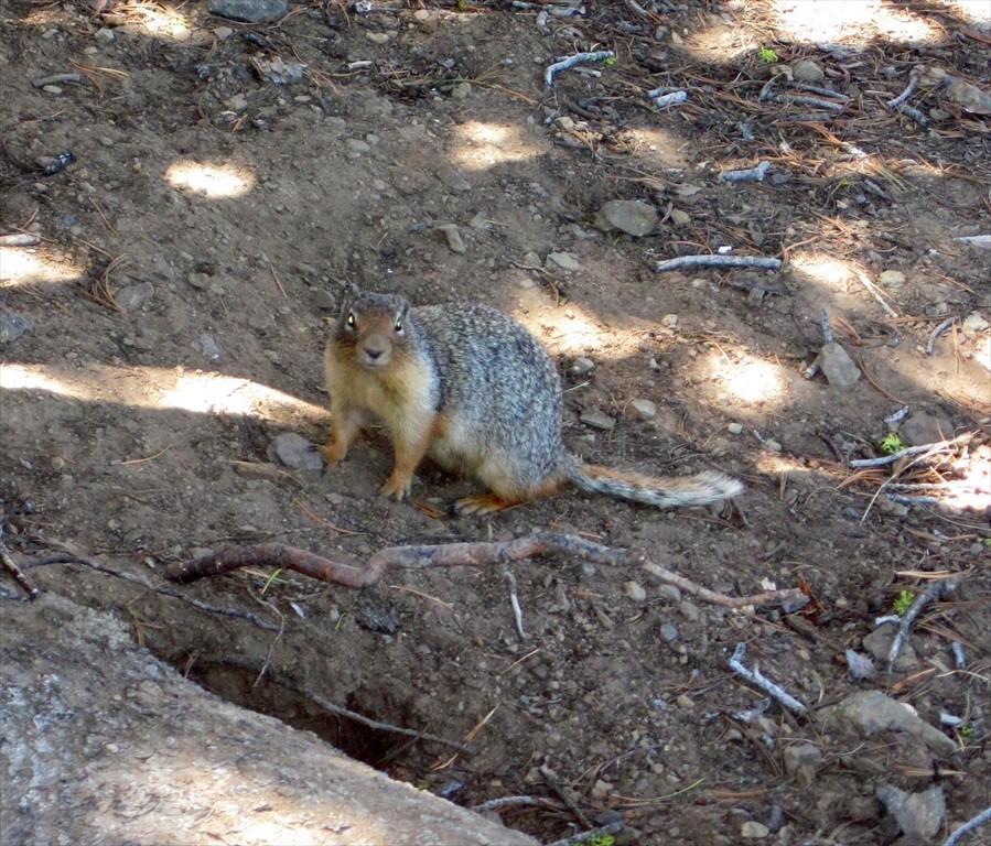 IMG_6440.jpg