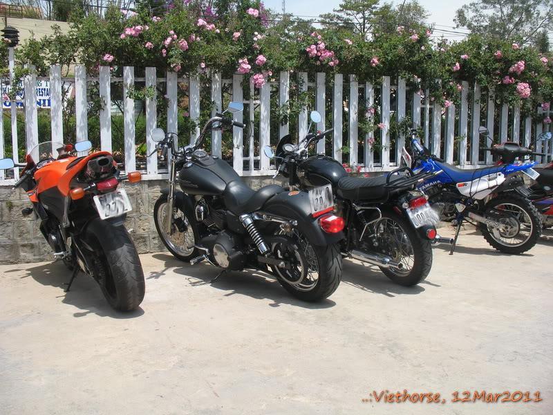 IMG_6484.jpg