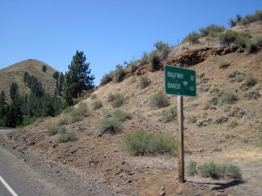 IMG_6505.jpg