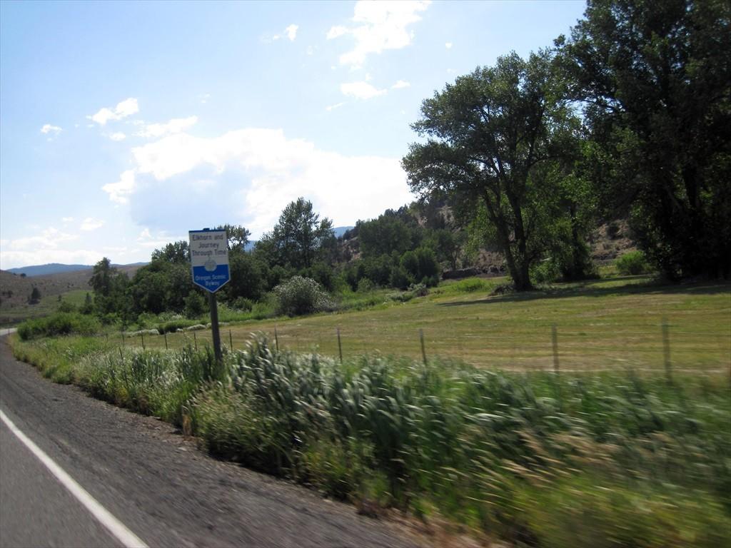 IMG_6513.jpg
