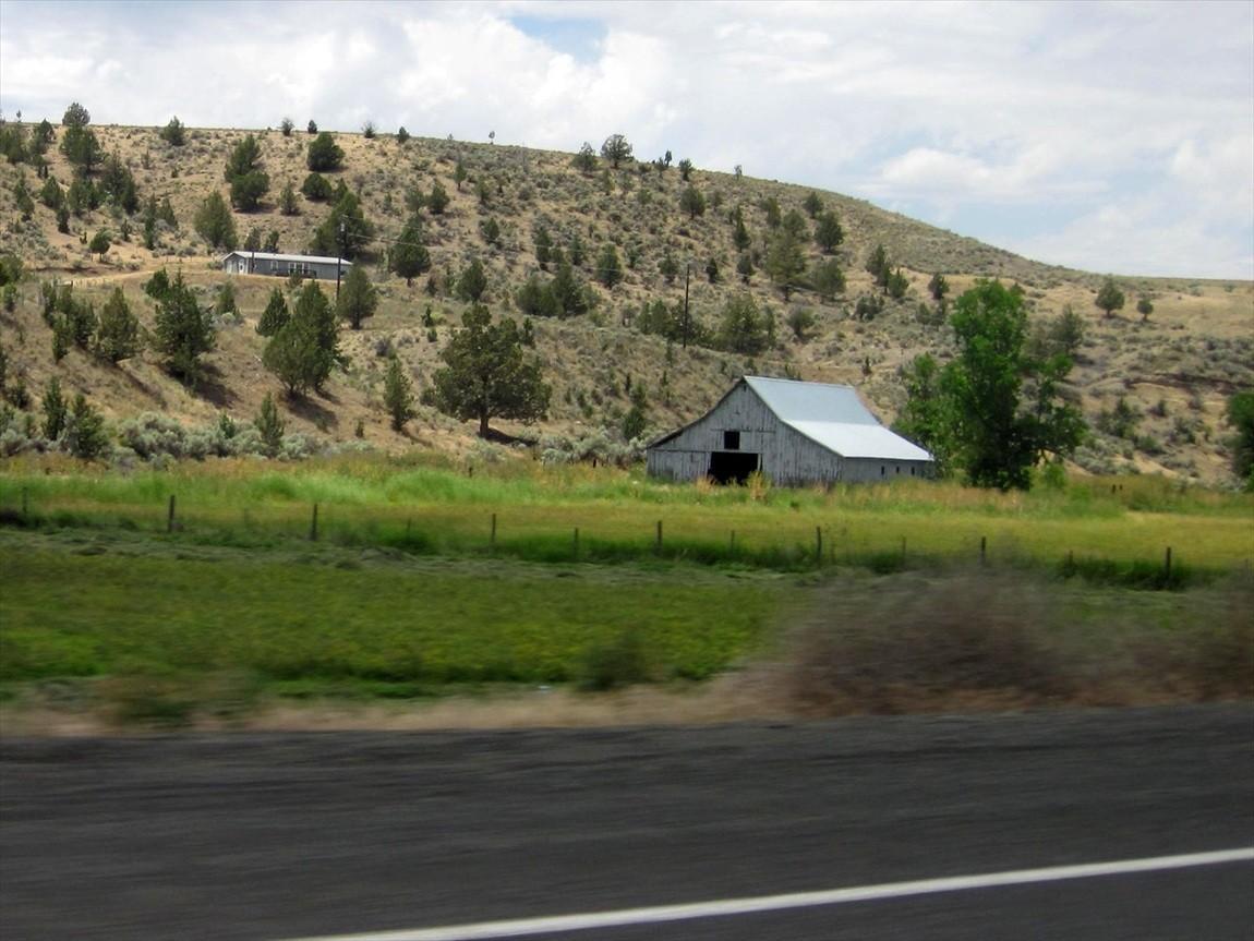 IMG_6531.jpg