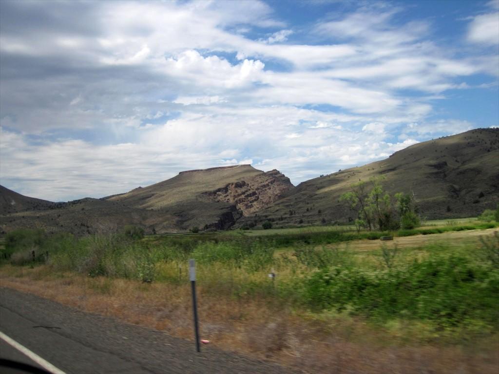 IMG_6532.jpg
