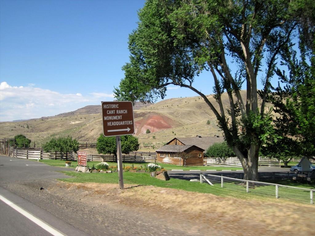 IMG_6545.jpg