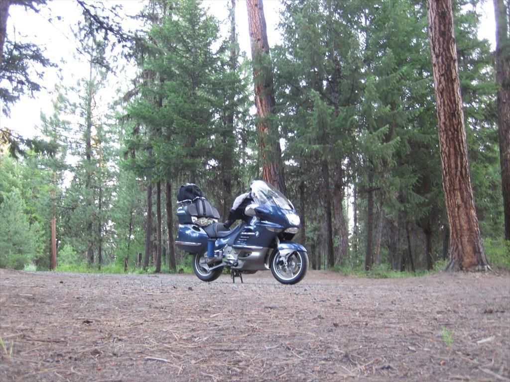 IMG_6573.jpg