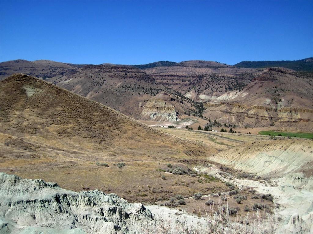 IMG_6588.jpg