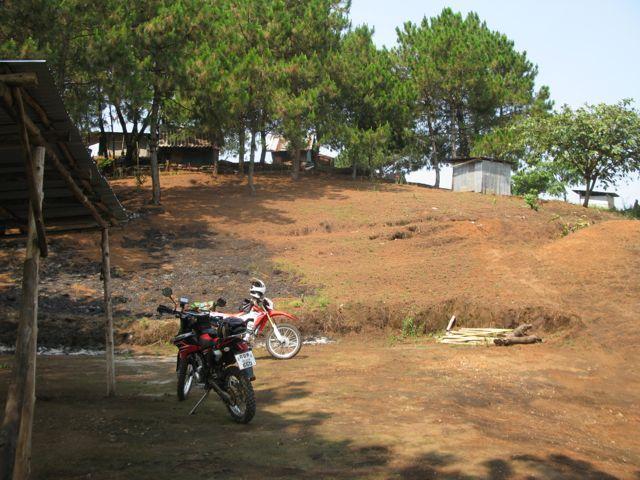 IMG_8876_zps1e6da59a.jpg