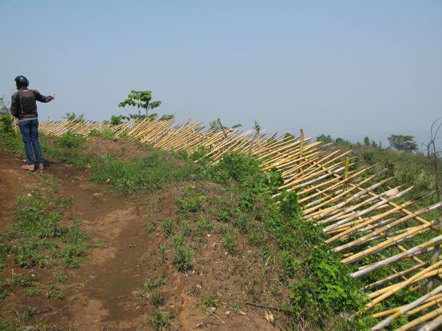 IMG_8877_zps56689c85.jpg