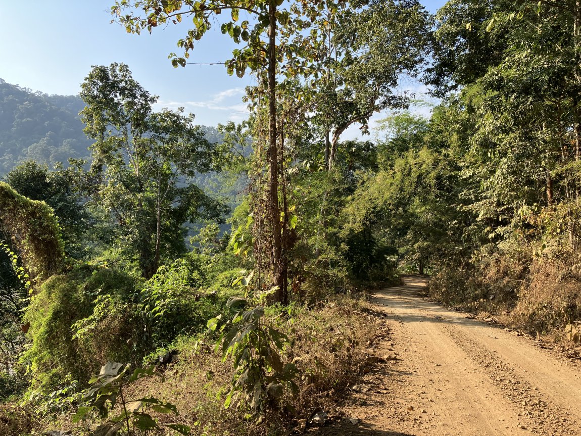 IMG_9587.jpeg