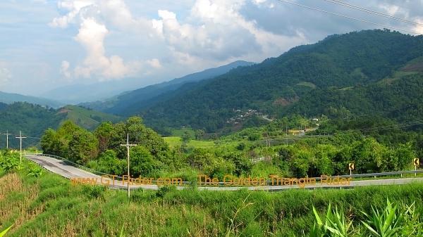 img_9785.jpg