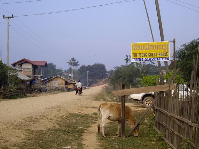IMGP0527-1.jpg