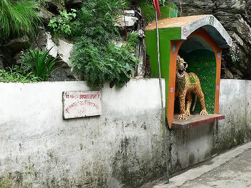 india_day3_22.jpg