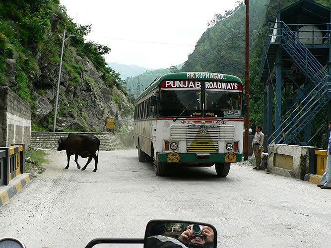 india_day3_24.jpg