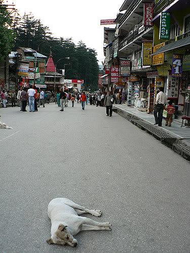 india_manali1.jpg