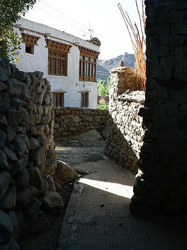indialeh01.jpg