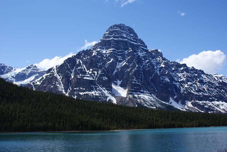 Jasper2010233.jpg