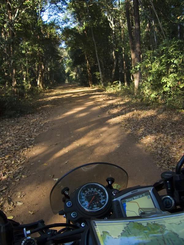 JungleTrack2LR.jpg