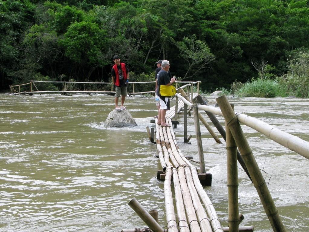 junglewalkingtrail3.jpg