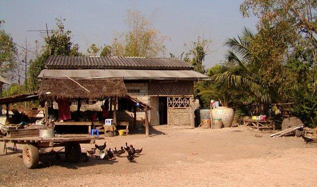kampaeng-pet-08.jpg