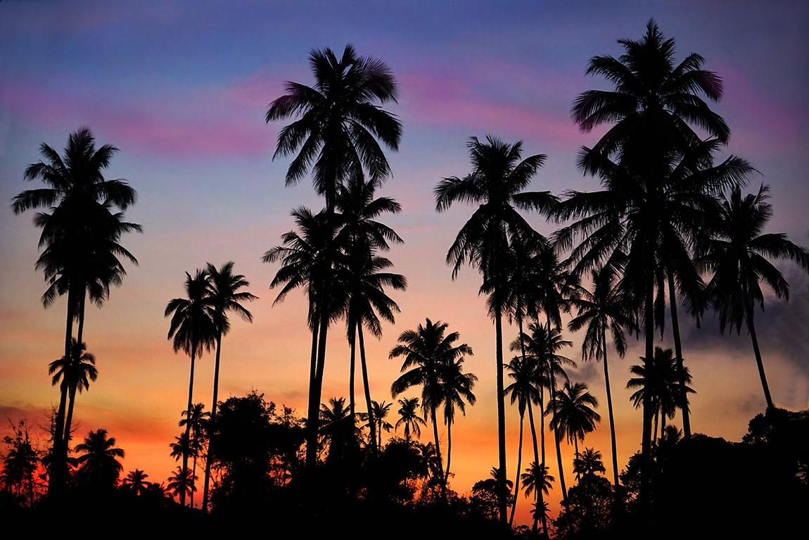 khanom-coconuts-by-night-1cc.jpg