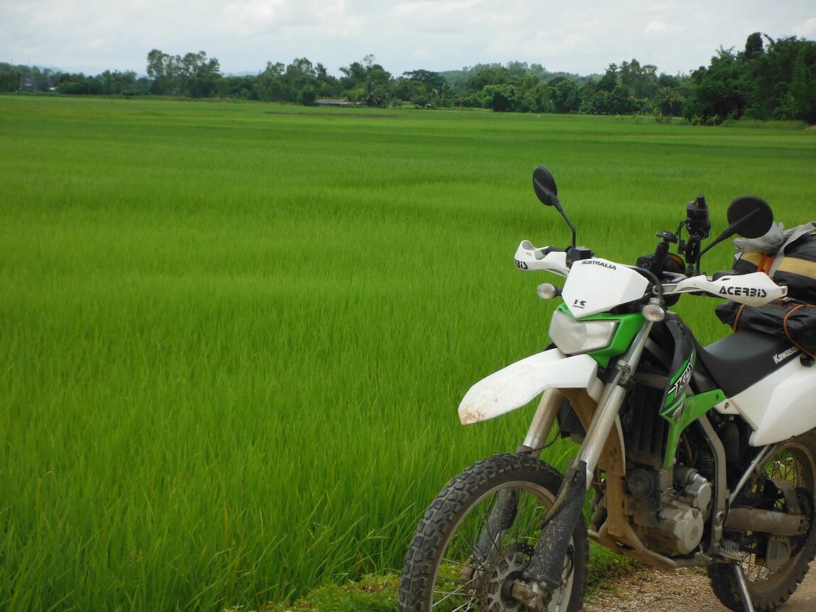 KLX250 (1).JPG