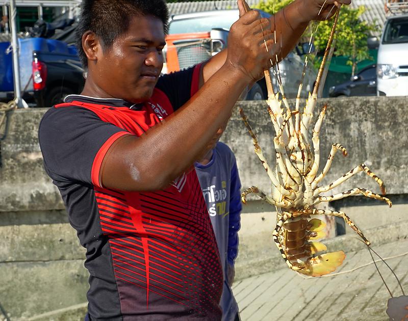 koh-yao-noi-lobster-1dd.jpg
