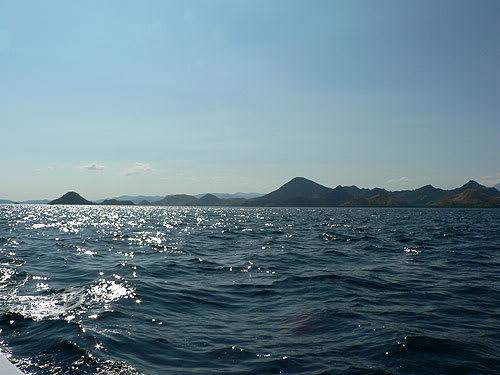 komodo11.jpg