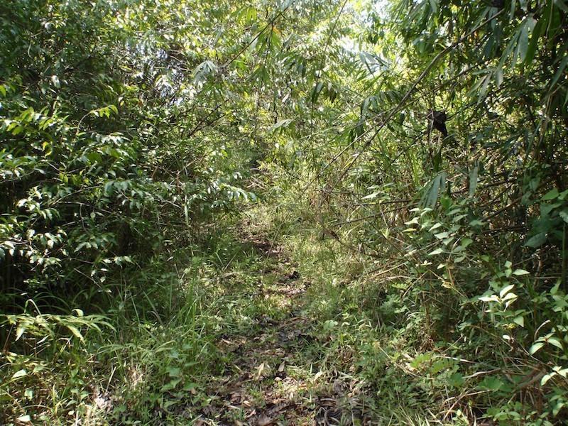 Korat%20Sakeow%20006-L.jpg