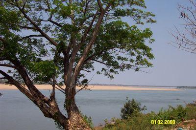 Kratie_-_Mekong_sandbar.jpg