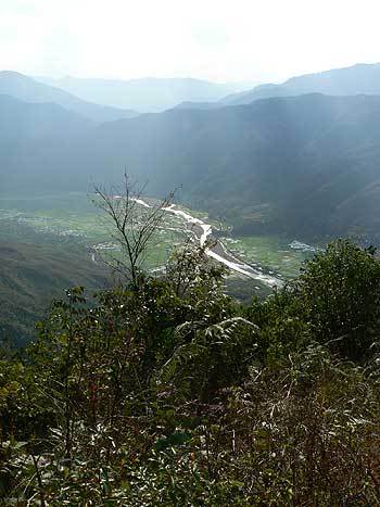 laichau8.jpg