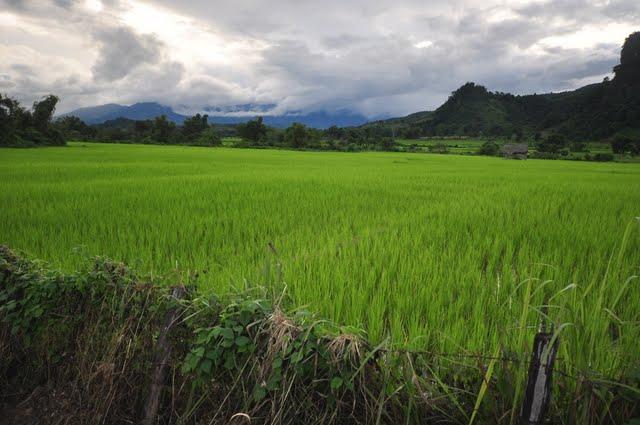 Laos%202-29.jpg