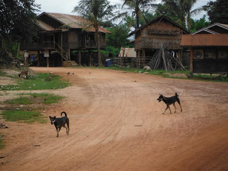 Laos%20Bamboo%20bridge%20Motorcycle%20%203.jpg