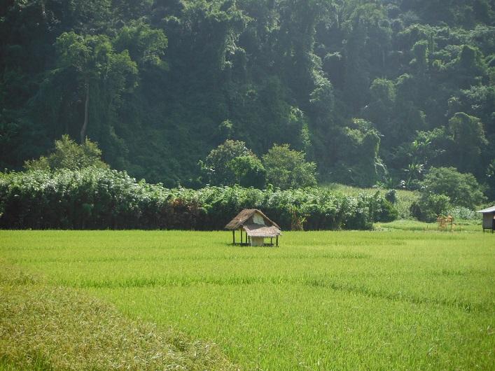 Laos%20Motorcycle%20Asia%20%2018.jpg