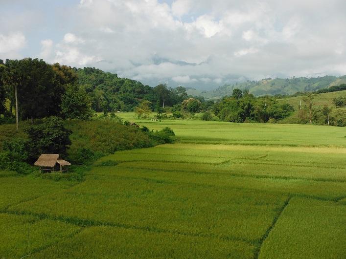 Laos%20Motorcycle%20Asia%20%2019.jpg