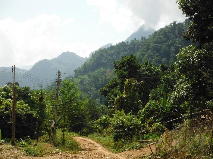 Laos%20Motorcycle%20Asia%20%2026.jpg