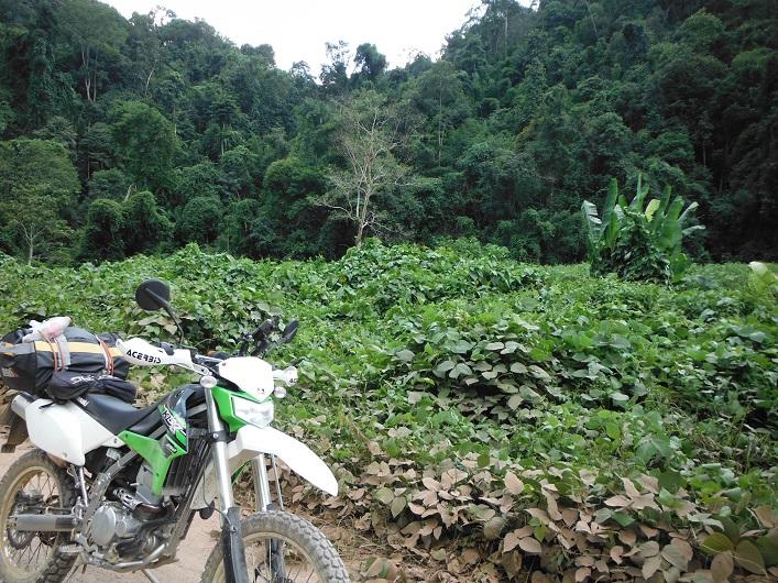 Laos%20Motorcycle%20Asia%20%209.jpg