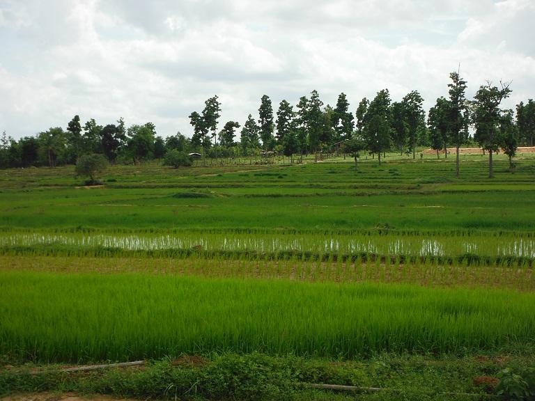 Laos%20Motorcycle%20Savannakhet%2031.jpg