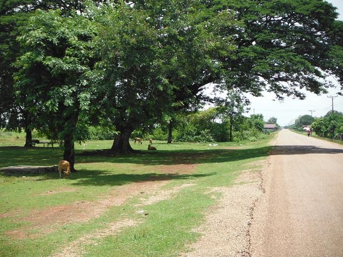 Laos%20Savannakhet%20Thakhek%20motorcycle%2015.jpg