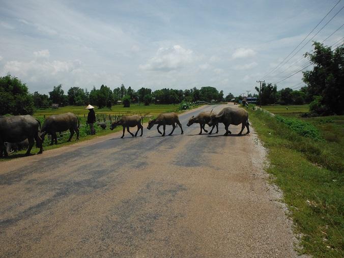 Laos%20Savannakhet%20Thakhek%20motorcycle%2016.jpg