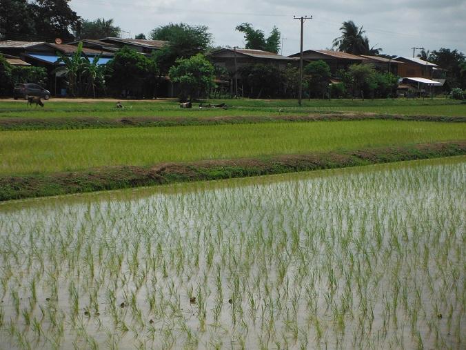 Laos%20Savannakhet%20Thakhek%20motorcycle%204.jpg