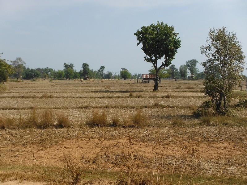 Laos-Asia-Motorcycle10_zpsacea8323.jpg