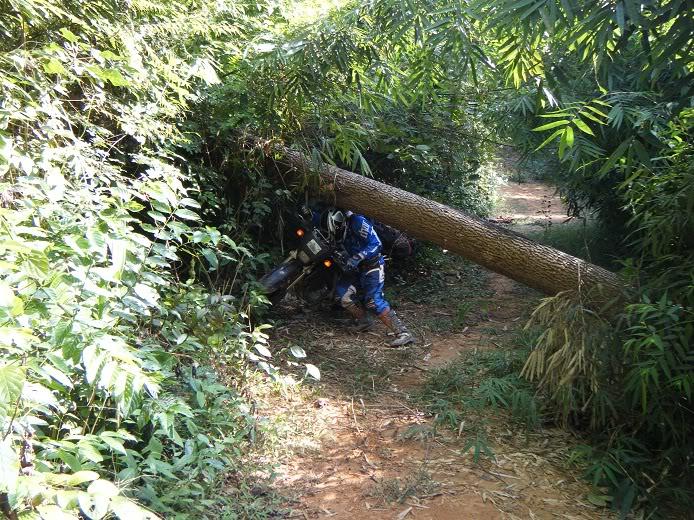Laos-Motorcycle-Asia27.jpg