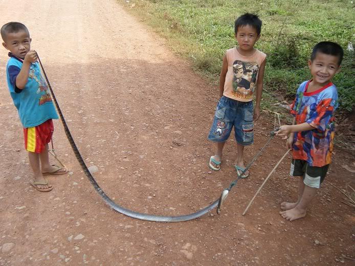 Laos-Motorcycle-Asia34.jpg