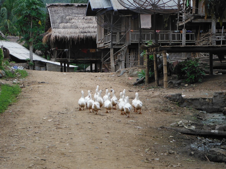 Laos-Xam Neua-Muang et-Motorcycle (48).JPG