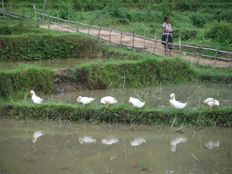 Laos-Xam Neua-Muang et-Motorcycle (49).JPG