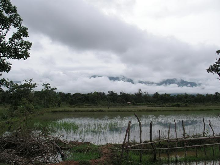 laos200934.jpg