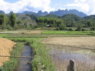 Laos2010Peters093-1.jpg