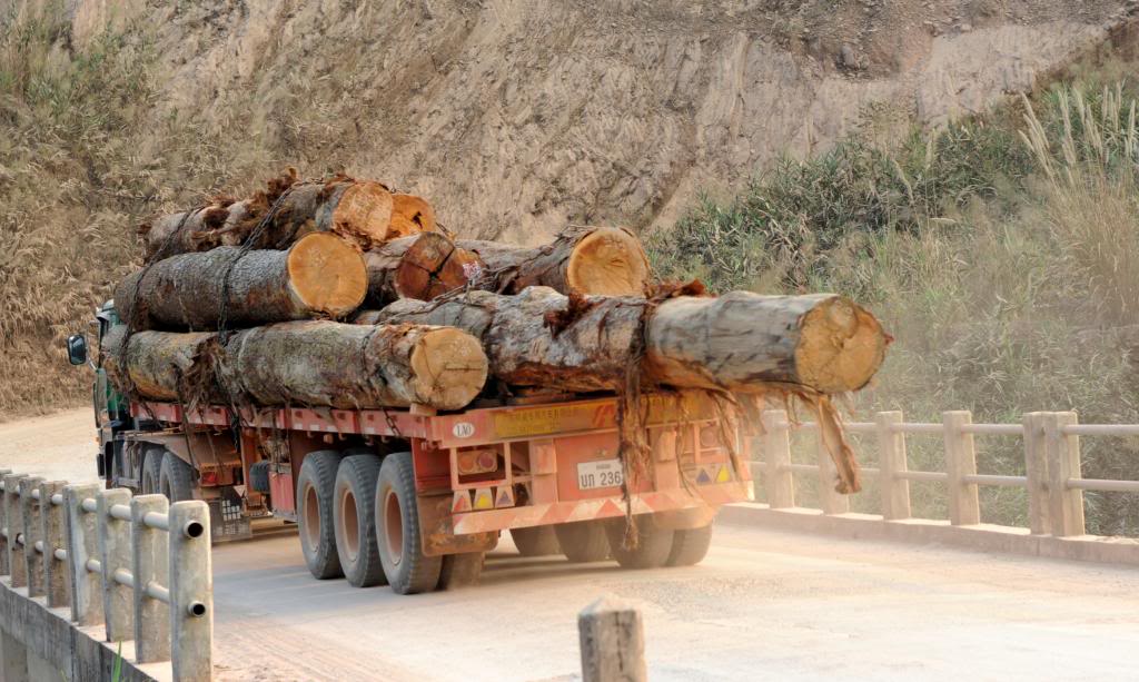 Logs_zps7fccb805.jpg