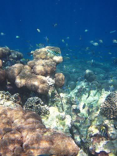 lombok13.jpg